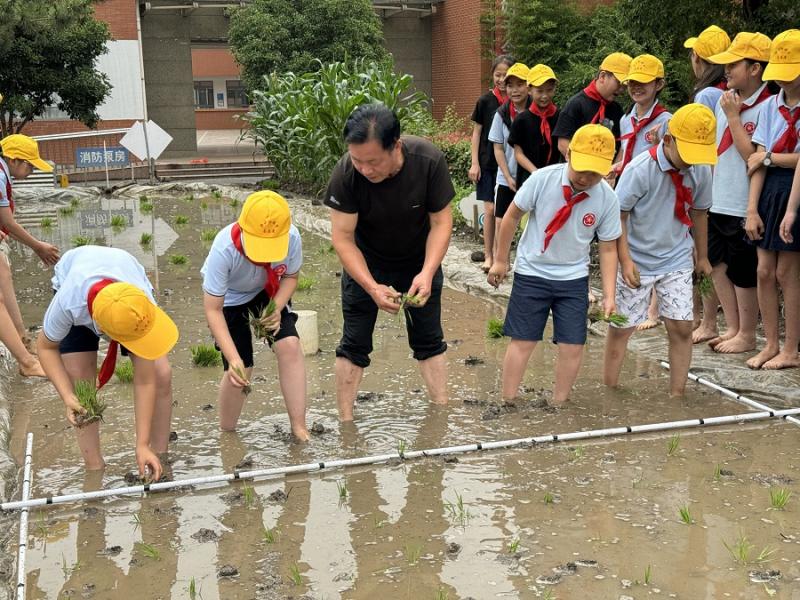 IMG_9118.JPG IMG_9118.JPG