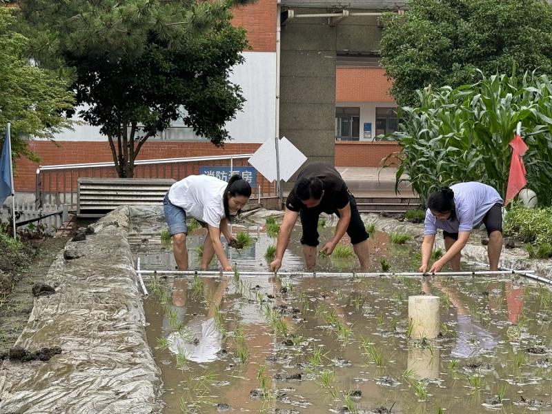 IMG_9133.JPG IMG_9133.JPG